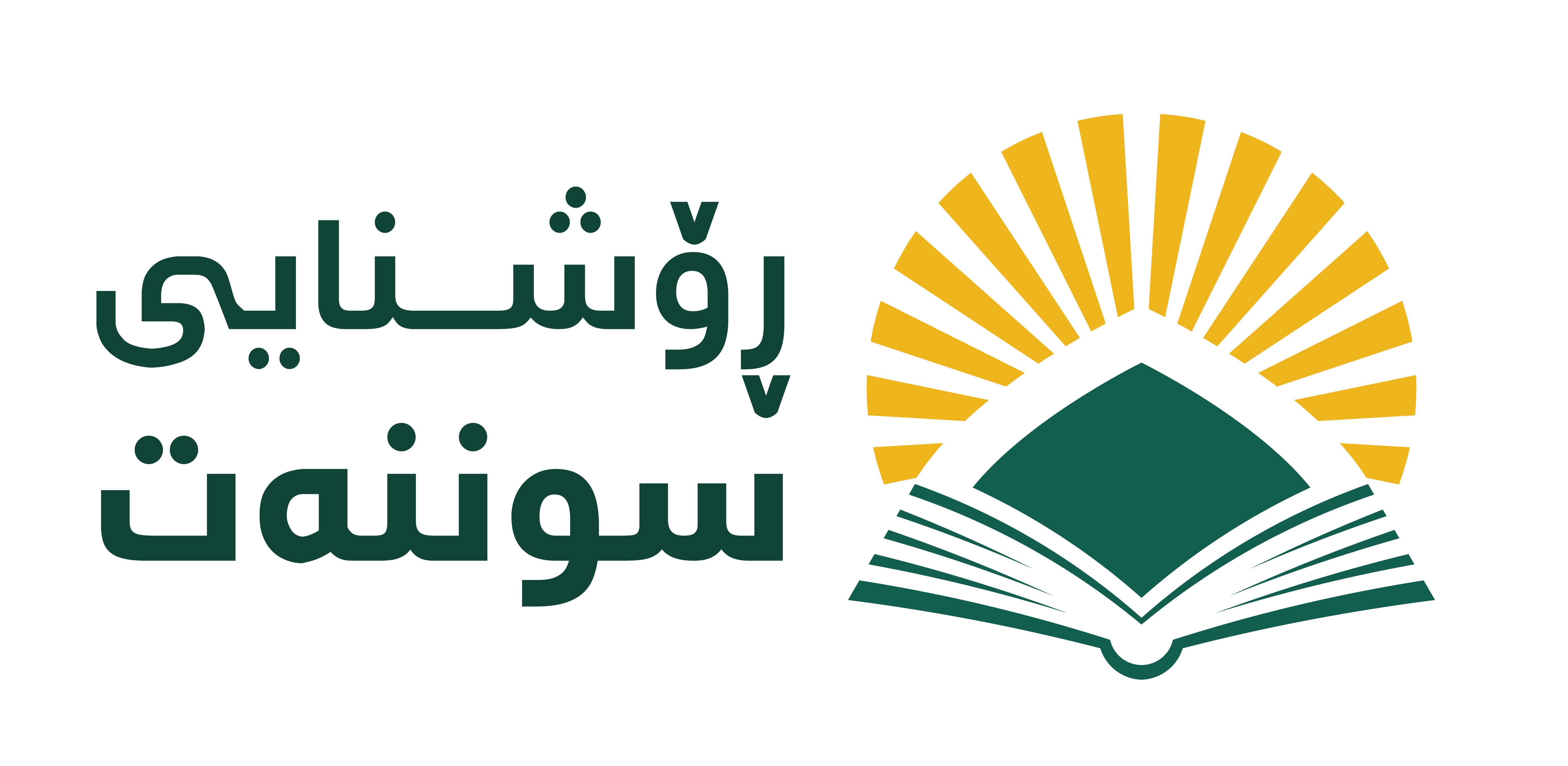 Website Logo